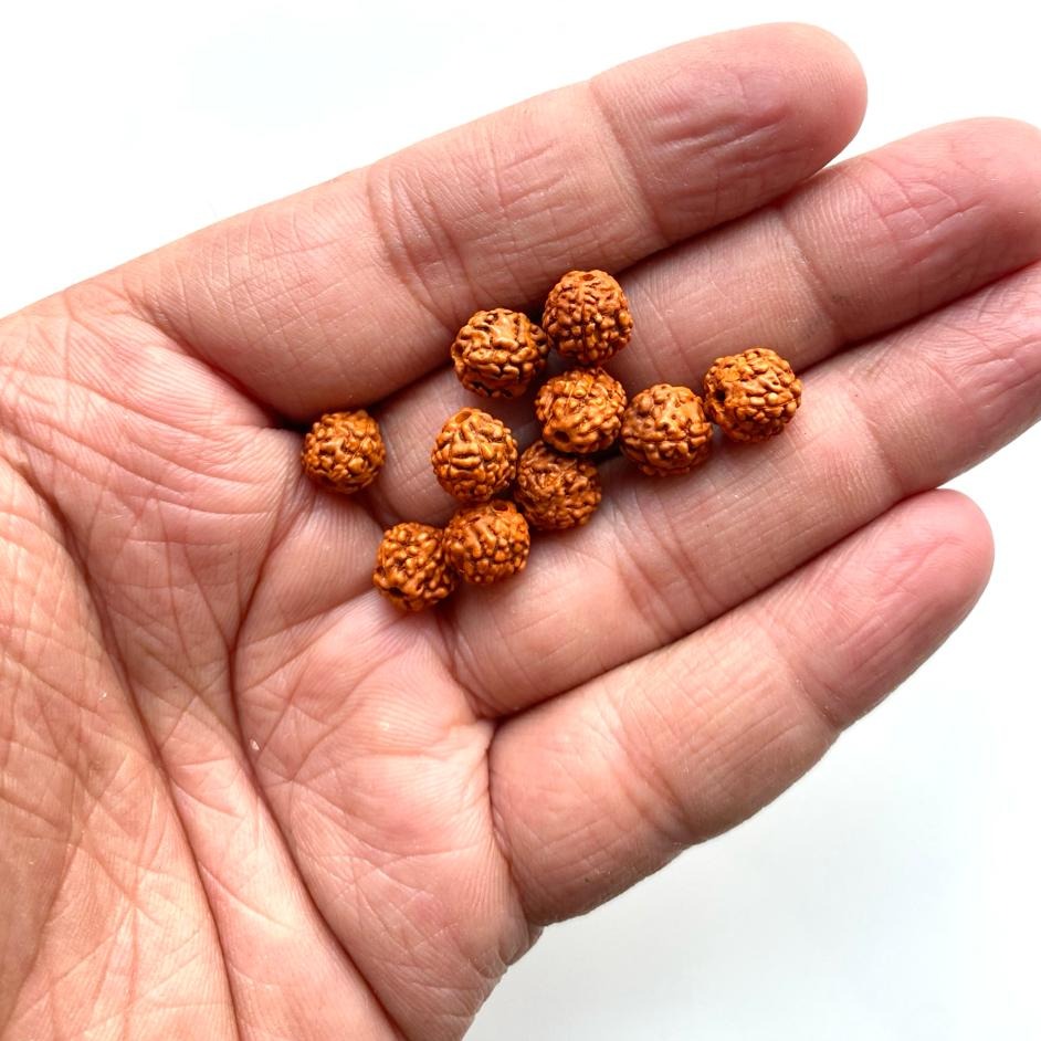 Rakhi Rudraksha Beads