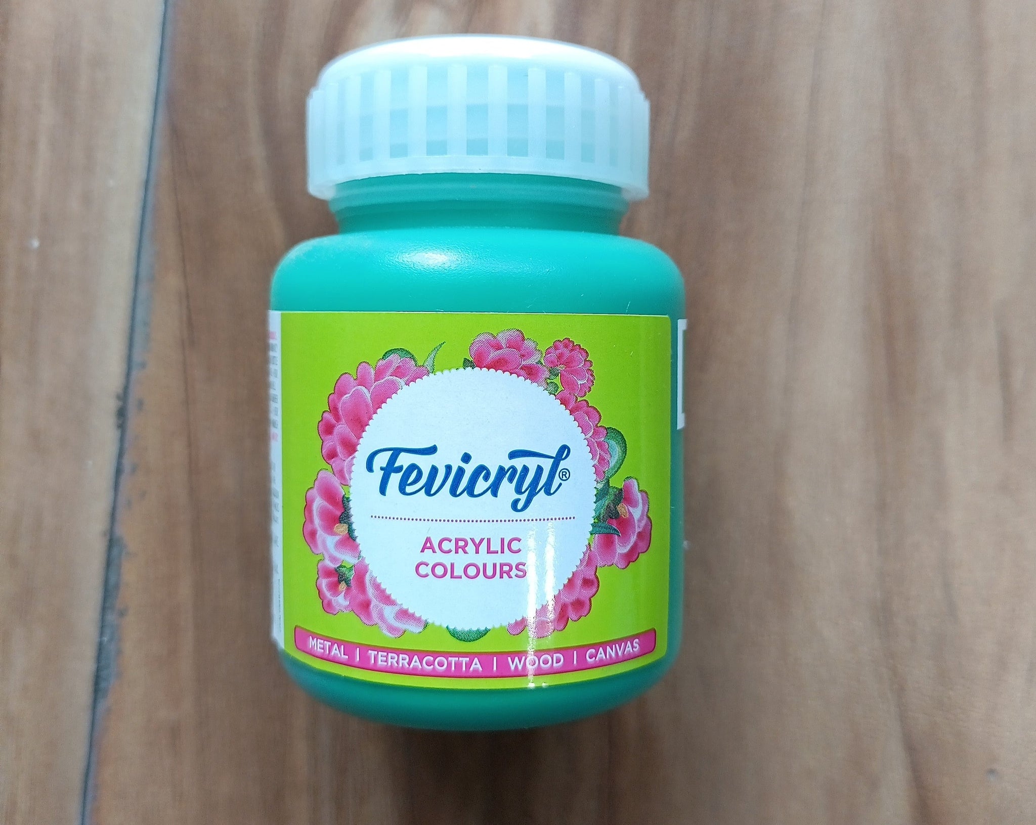 Fevicryl Acrylic painting Colors - 100ml