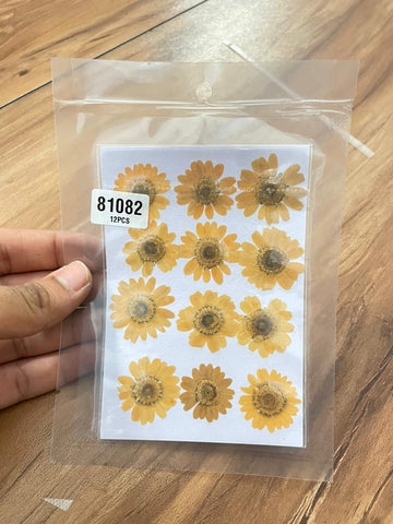 Destash Pressed Daisy Flower - orange