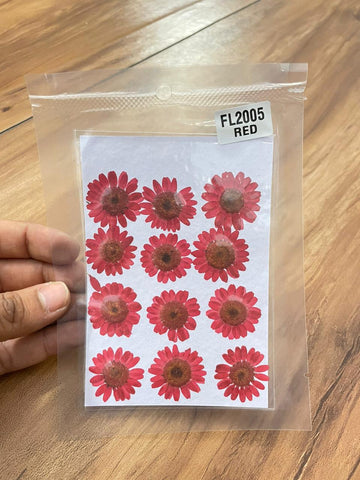 Pressed Daisy Flower - Red