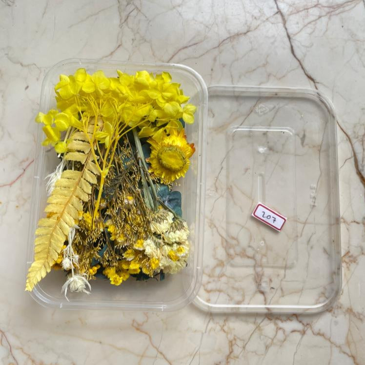 Dried Flowers For Resin Art and craft, Packaging Size: In A Box at Rs  100/piece in New Delhi