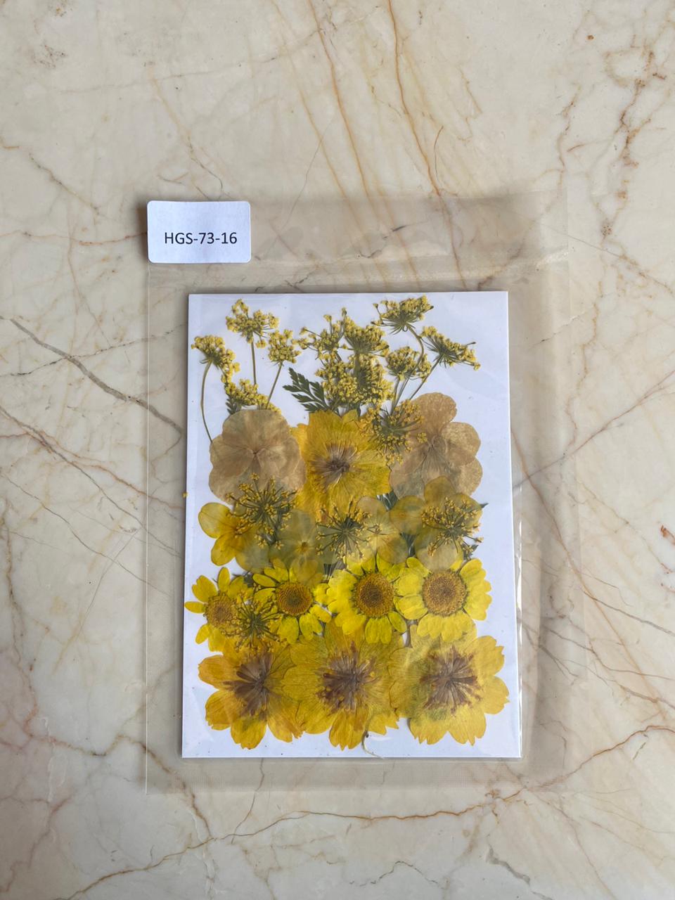 Dried pressed flowers - HGS 73-16