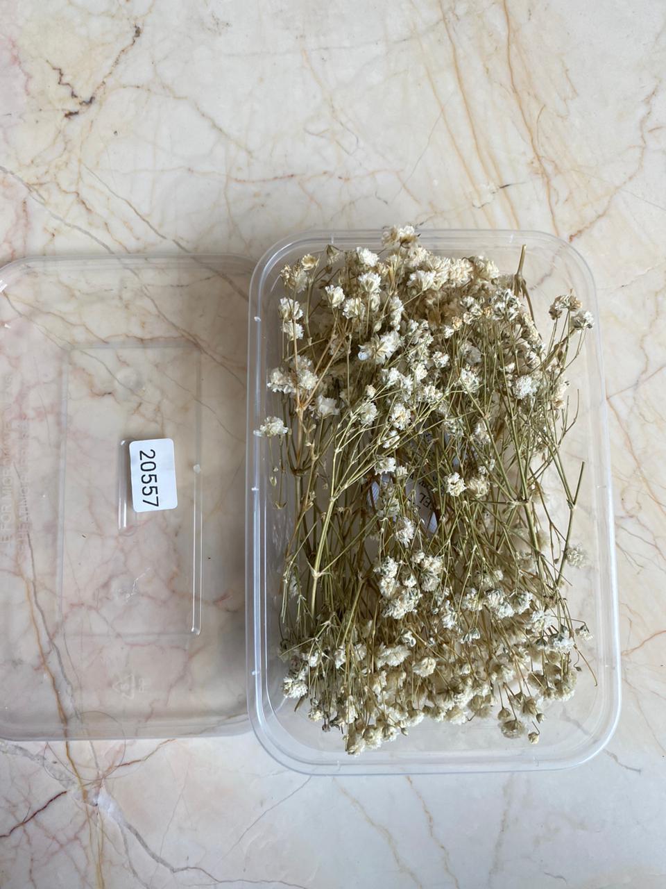 gypsy flower box - WHITE