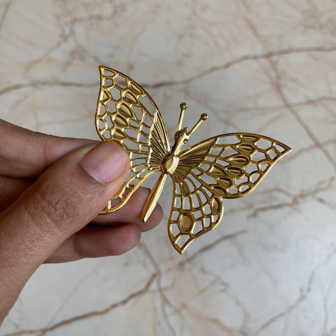 Metal Butterfly