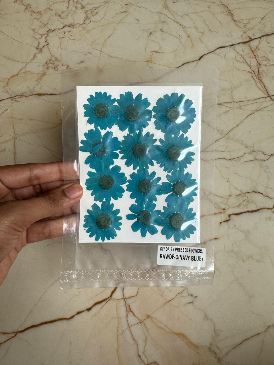 Pressed Daisy Flower - Let blue