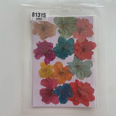 Cherry Blossom pressed Flower-Multicolor