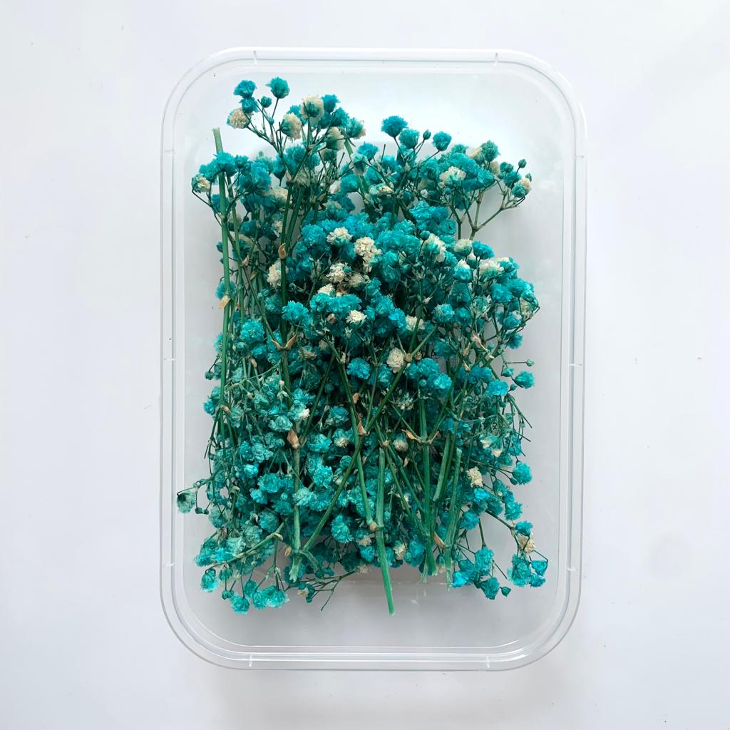 Gypsy flower box -TEAL BLUE