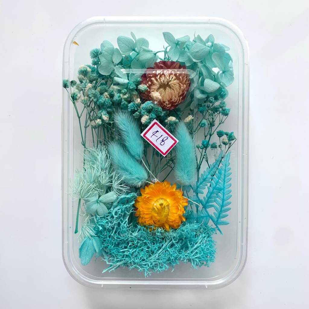Dry Flower Box - 418