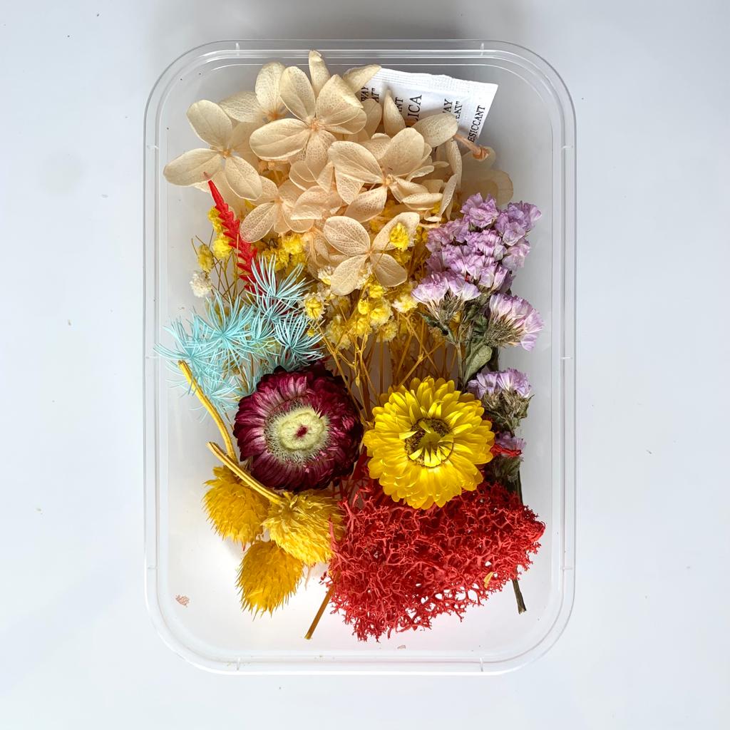 Dry Flower Box - 419