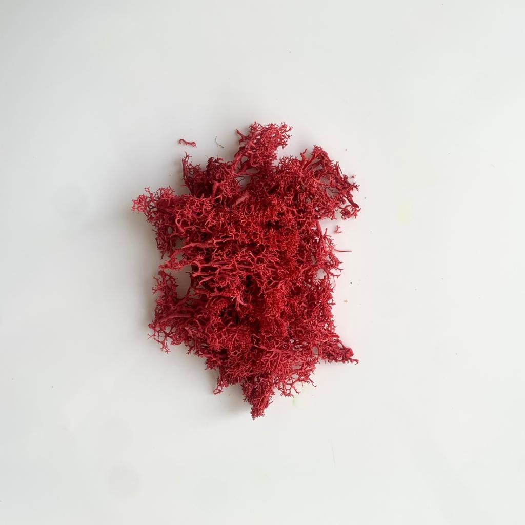 Artificial Grass-Red