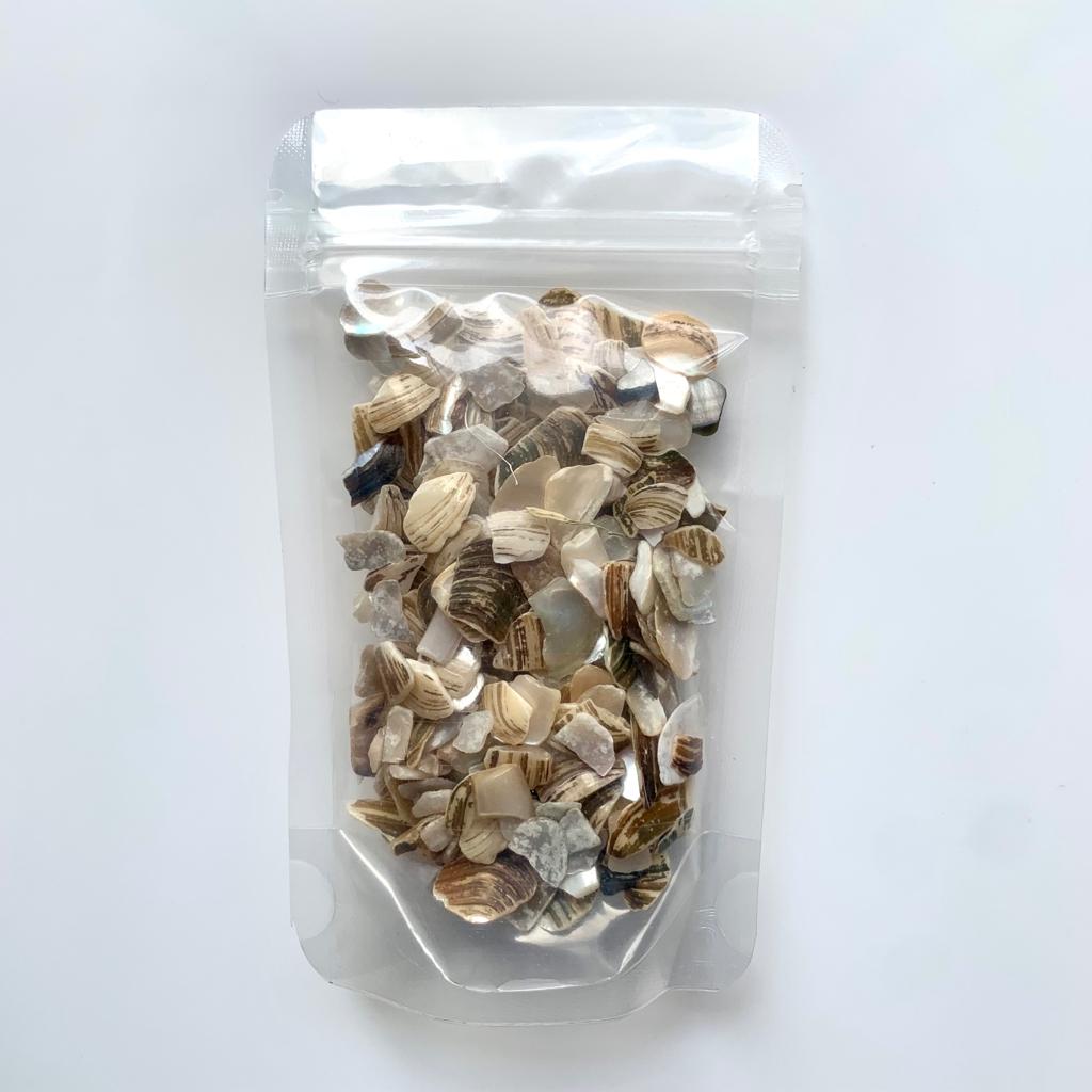 Sea Shell Chips - B