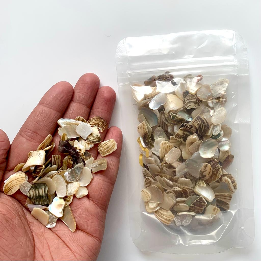 Sea Shell Chips - B