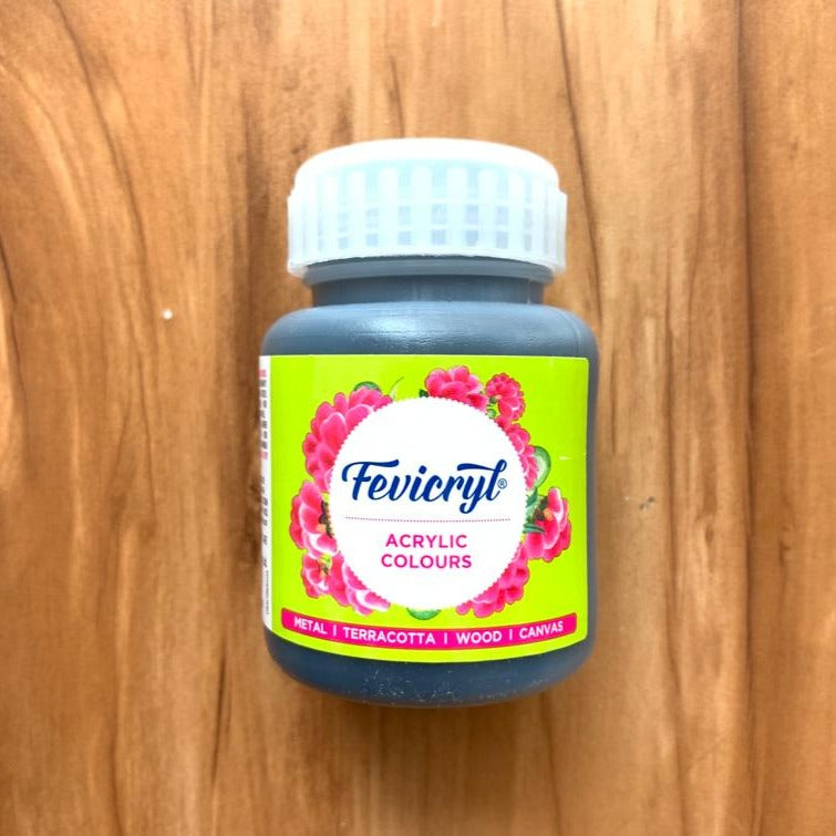 Fevicryl Acrylic painting Colors - 100ml