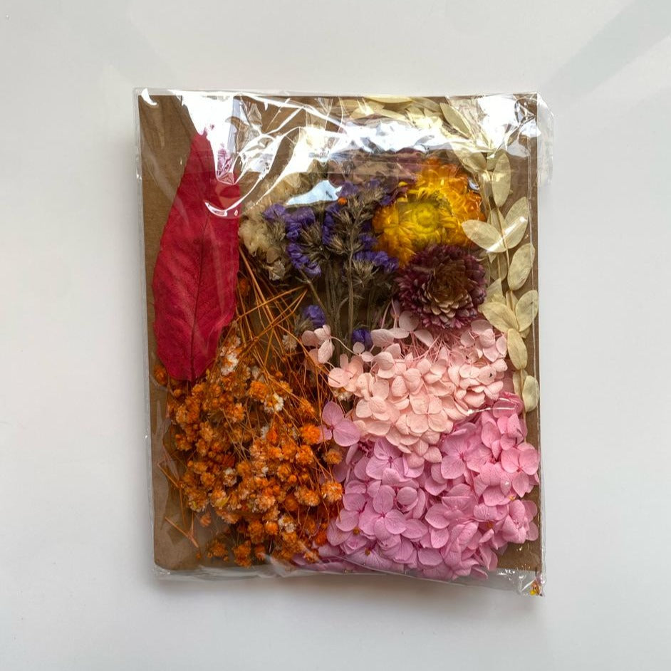 High quality Dried flowers pack -Ac-10