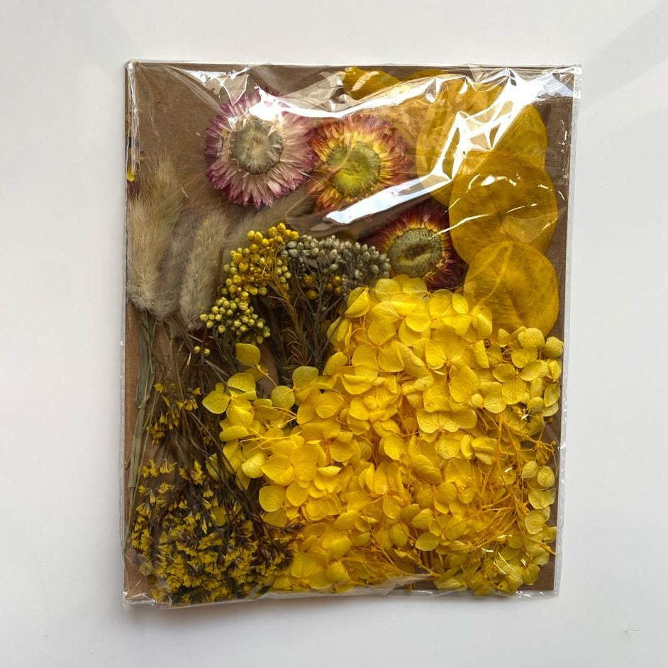 High quality Dried flowers pack -Ac-12