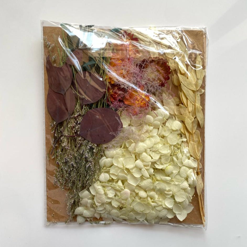 High quality Dried flowers pack -Ac