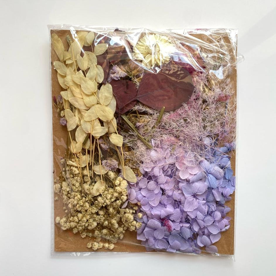 High quality Dried flowers pack -Ac