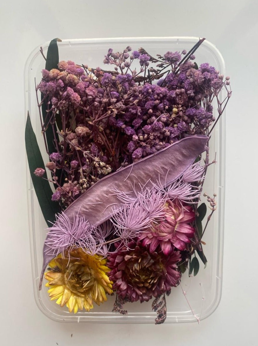 Dried Flower Box - 431