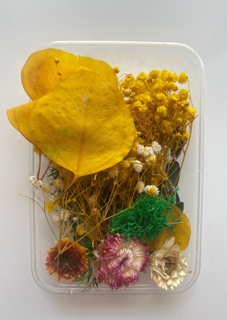 Dried  Flower box - 430