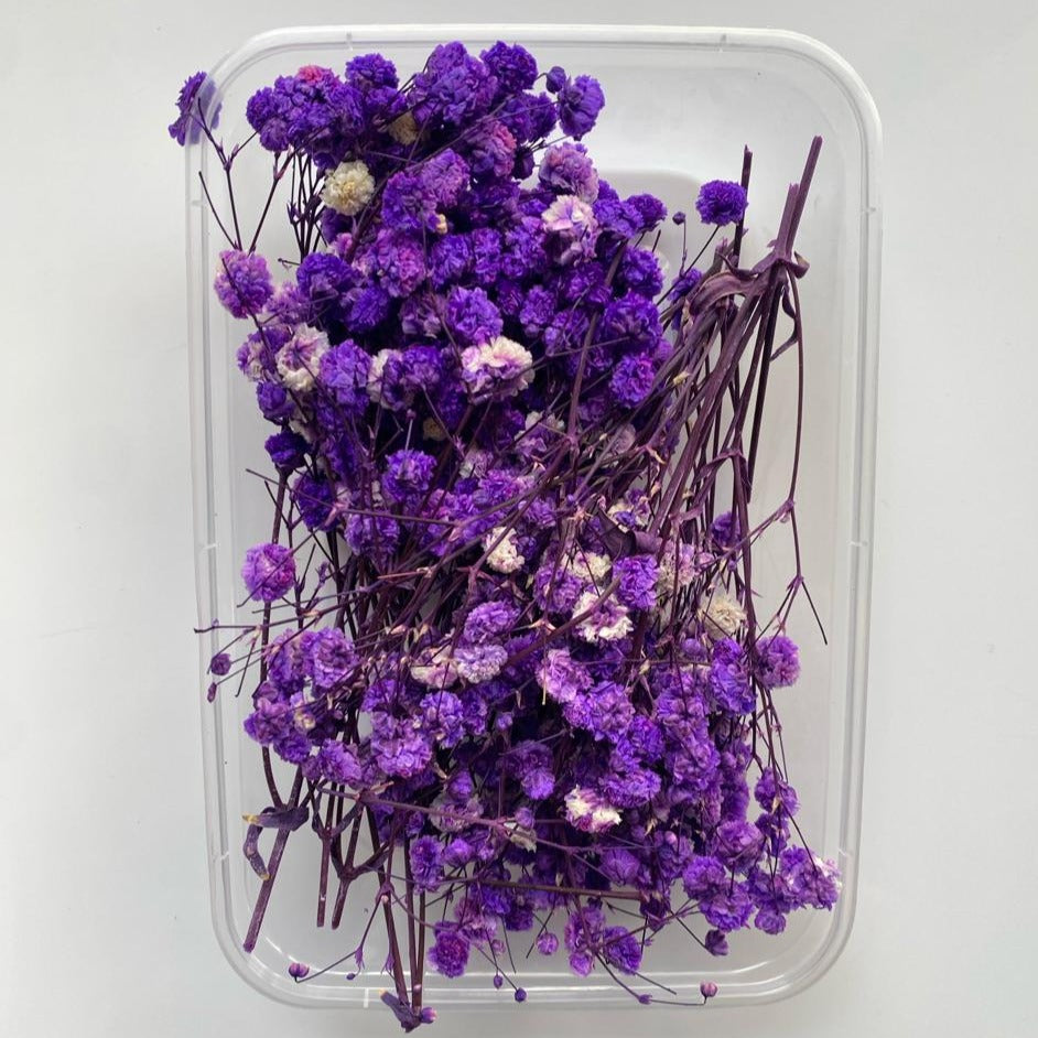Gypsy flower box -VOILET