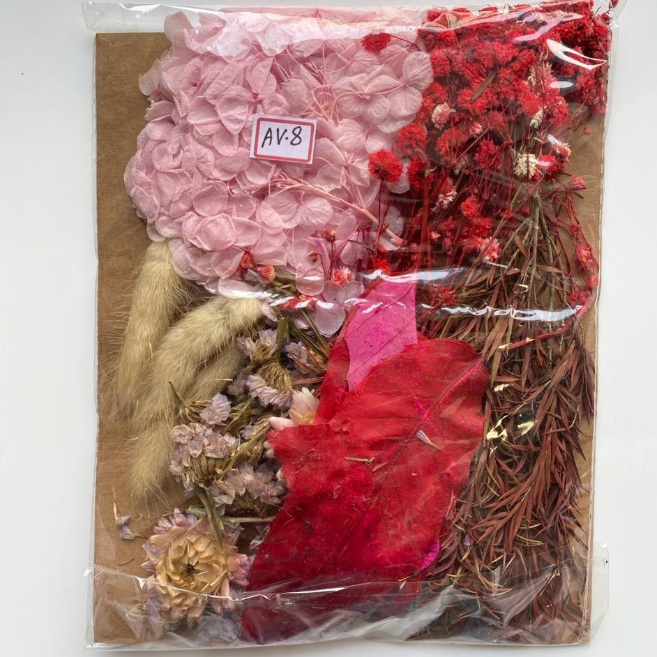 High quality Dried flowers pack -AV-8
