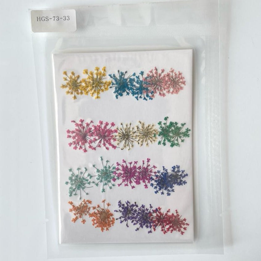 Multicolor Lace Pressed Flower Pack-B