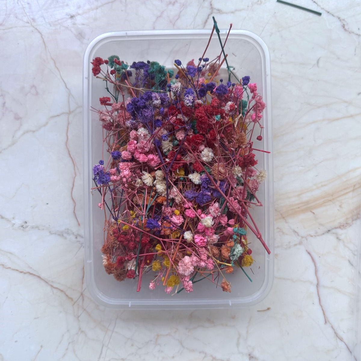 Multi-colour Gypsy Flower Box