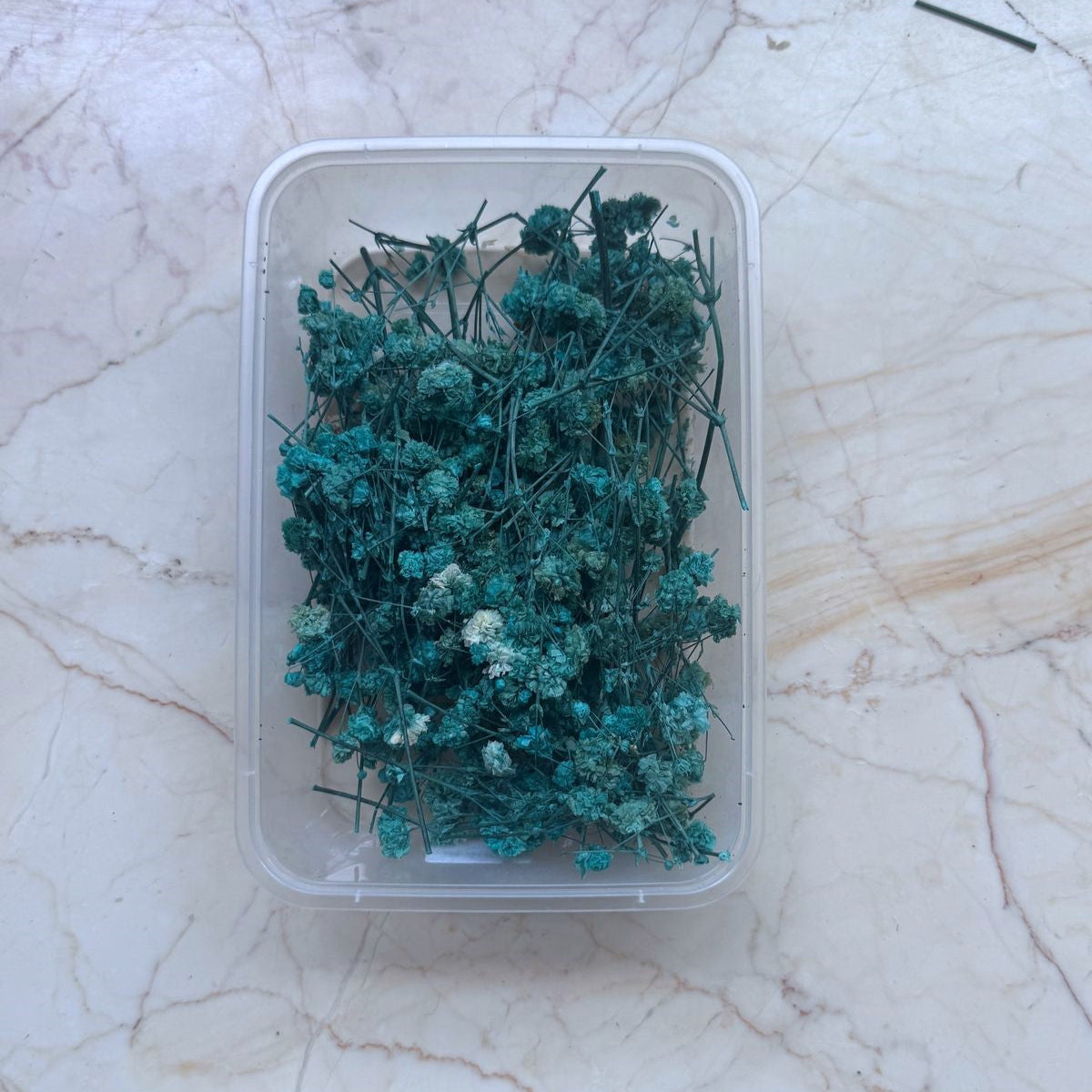 Teal Blue Gypsy Flower Box