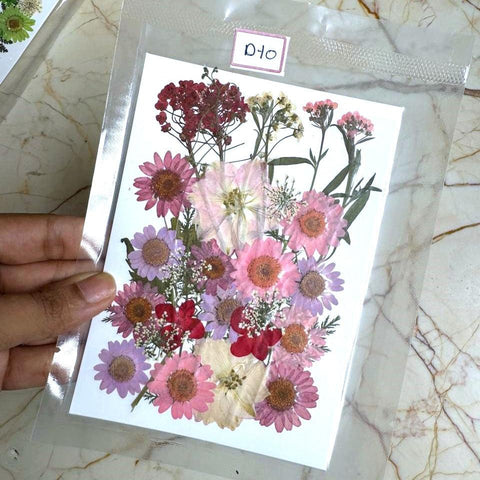 Pressed Flowers - D10