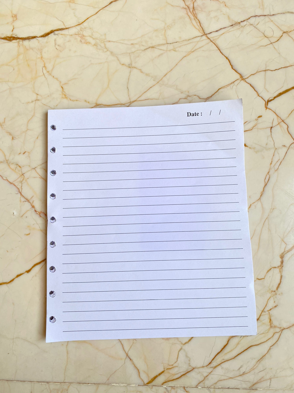 A5 Notebook / Diary Pages with Holes