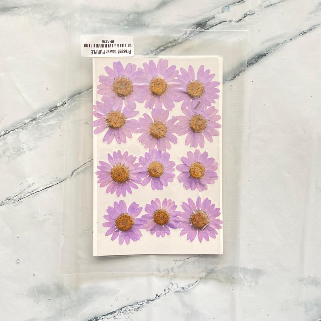 Lilac Pressed Dried Daisy Flower